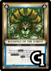 Blessings of the Forest